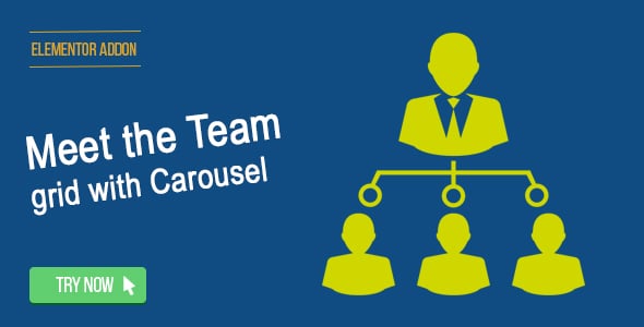 Elementor Page Builder - Meet the Team Grid with Carousel
