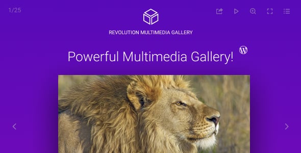 Revolution Multimedia Gallery Wordpress & WooCommerce Plugin