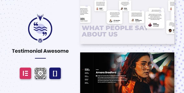 Testimonial Awesome Pro - Testimonial Plugin WordPress Slider